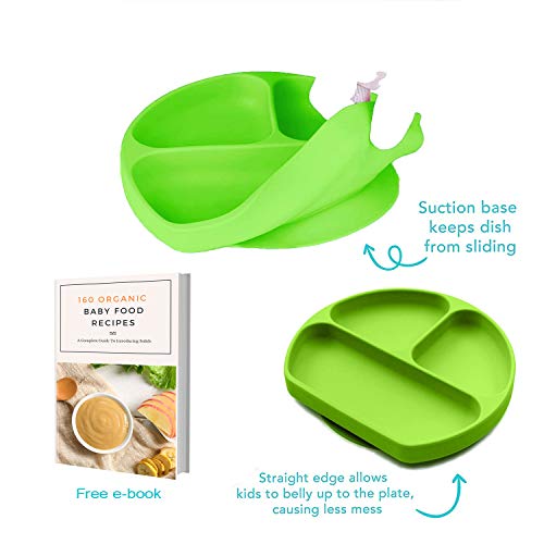 Top 10 Best suction cup plates for toddlers Reviews NecoleBitchie