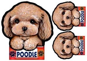 犬ステッカー トイプードル37 80 以上節約 シール