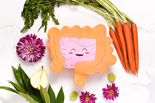 Nerdbugs Intestine Plush- Intestined For Greatness-Colon/Intestine Plush Organ Toy For Ibs, Colitis, Crohns And Gi Support Plush/Health Education Gift/Surgery Gift/Gastroenterology Get Well Gift #TOP5