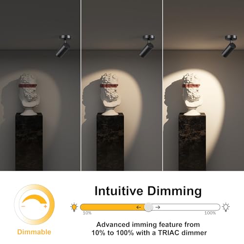 Image of LED Dimmable Indoor Ceiling Spotlight, Hardwire Directional Fixture | 12W Adjustable Wall Surface Accent Lamp for Home Corridor Picture Artwork, 360 Rotatable Directional Spot Light, Black 4Pcs