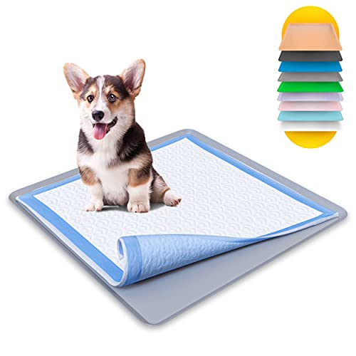 Top 10 Best Dog Pad Holder Top Picks 2023 Reviews