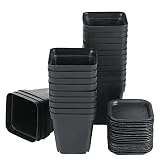 Ideal para cultivar plantas suculentas, cactus, hierbas y otras plantas pequeñas.
