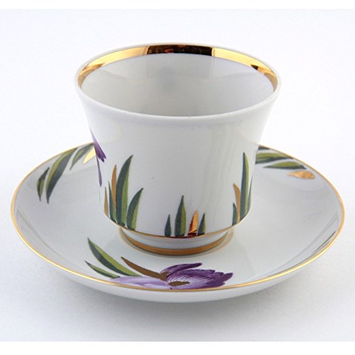 Imperial / Lomonosov Porcelain Teacup w/ Saucer 'Irises'