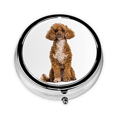 v[h sP[X P[X 肢P[X TvP[X gїp s  ώ   ݖYh~ RpNg 킢  ^[P[X  g