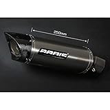 bmw s1000r dynamic pro mode Farbe: Titan; Material: Edelstahl/Titan