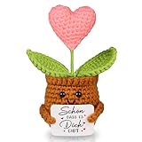 WenmthG Glücksbringer Dankeschön Geschenke Gestrickte Topfpflanzendeko für Frauen Männer Freunde Kollegen Lehrer und Famili, Danke Geschenk Pocket Hug Kartoffel Deutsch Ersatz - 1 St