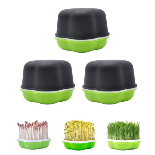 Caja de Brotes de Gérmenes D0c5