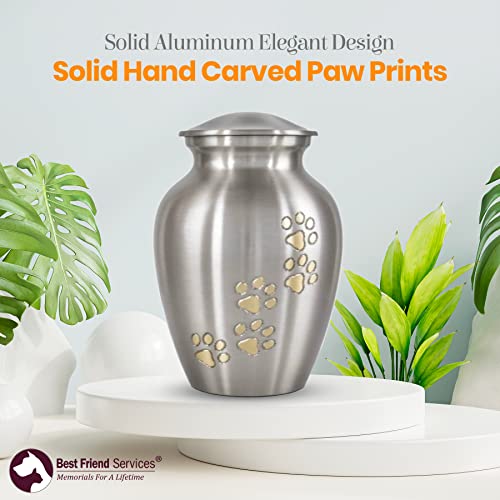 Best Friend Services Pet Urn - Ottillie Paws Legacy Memorial Pet Cremation Urns For Dogs And Cats Ashes Hand Carved Brass Memory Keepsake Urn (Pewter, Vertical, Brass, X-Large) #TOP1