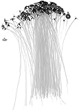AVEC CANDLE WICK dispositif de centrage-permet de garder votre mèche centrée Facilite grandement le processus de fabrication de bougies maison