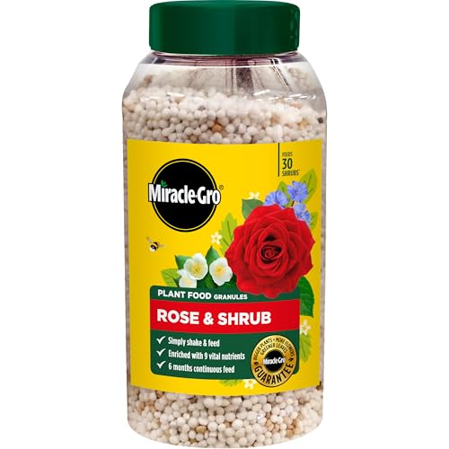 Miracle-Gro Premium Rose & Shrub Continuous Release Plant Food, 900G