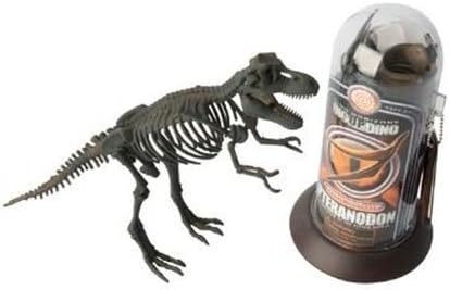 Tyrannosaurus Rex Dinosaur Fossil Set