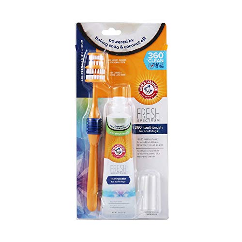 Arm & Hammer Fresh Spectrum Dog Dental Kit for Adult Dogs ...