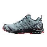 Salomon XA PRO 3D GTX, Men’s Trail Running Shoes, Grey (Lead/Black/Barbados Cherry Lead/Black/Barbados Cherry), 11 (46 EU)