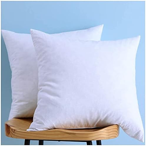 LunarTex Two Pillow Inserts, Down and Feather Throw Pillow Inserts, Cotton Fabric, 20X20 Inches