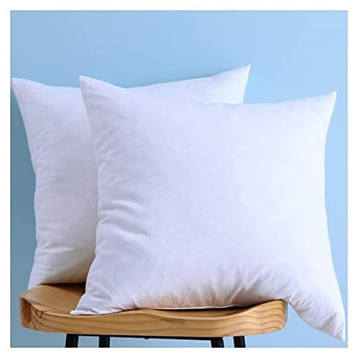 Two Pillow Inserts, Down and Feather Throw Pillow Inserts, Cotton Fabric, 20X20 Inches