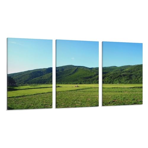 3枚 秋田県 米どころ秋田 絵画 インテリア ポスター のどかな田園風景 日本の風景写真 アートパネル 風景画 自然風景 絵 アートポスター 装飾画 キャンバス 飾り絵 壁飾り 壁の絵 玄関 壁掛け 木枠付きの完成品 60x90cm