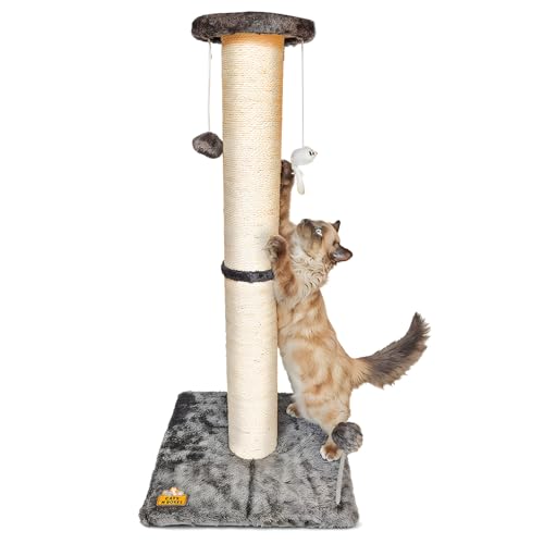 Cats 'n Boxes Cat Scratch Post - Heavy Duty, Big Scratching Surface, Hanging Mouse and Ball Toys for Engagement- Great for All Cats (Grey)