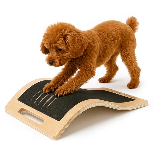 Dog Scratch Board for Nails – Dog Nail Scratch Pad with 2 Extra Sandpapers & Training Guide – Safe Dog Nail File Board for Natural Trimming – Dog Nail Board for All Sizes (Small 15.7in * 9.8in)