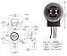iJDMTOY Pair 3156 3157 Female Adapter Wiring Harness Pigtails Compatible with Both LED/Incandescent Bulbs for Turn Signal, DRL Driving or Brake/Tail Lights