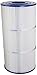 Pleatco PLB50 Replacement Cartridge for Leisure Bay 50, 14 (111790), Rec. Warehouse, 1 Cartridge