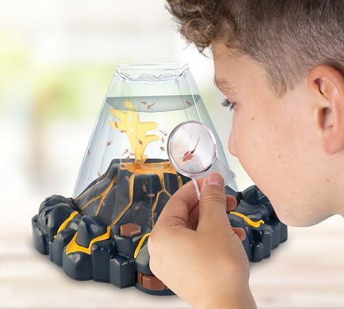 Inflables Acuáticos, Video On Demand Imagen adicional