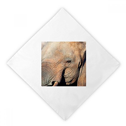 Servilletas de tela blanca DIYthinker con diseño de elefante de 2 unidades 2