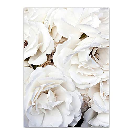 OYFFL Fleurs Blanches Pivoine Roses Mur Art Toile Peinture Affiche Frais élégant Toile Peinture Photos pour la Maison Salon décor (16,50x70cm Pas de Cadre) Cover