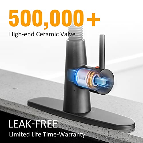 Besy Kitchen Faucet With Pull Down Sprayer, High-Arc Single Handle Single Lever Spring Rv Kitchen Sink Faucet With Pull Out Sprayer, 3 Function Laundry Faucet With Cover Plate, Matte Black #TOP5