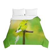Odot Colcha Bouti Ligero para Cama 90/135/150/180,Primavera, Verano e Otoño Microfibra Extra Suave, Colcha Cubre Cama Multiusos (Loro Verde,200x230cm)