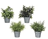 Decoris