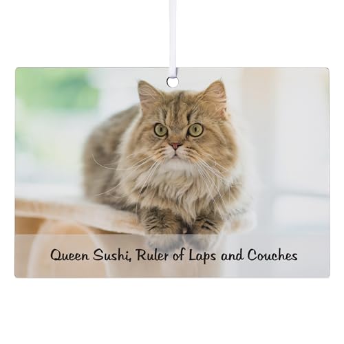 Let's Make Memories Personalized Pet Photo Rectangle Christmas Ornament - Dog/Cat - Furry Friends