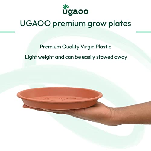 Ugaoo UV Treated Gardening Plastic Tray (Plate/Saucer) for Pots - 8 inch, Brown/Terracotta Color, Set of 12 | Tray for Plants Pot for Indoor Home Decor & Outdoor Garden & Balcony