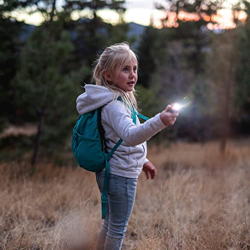 Sun Company Big Discoveries LifeLight Animal Carabiner Flashlight – Fun Mini Animal Keychain Flash Lights for Kids, Adults, Nurses (Dolphin) - Thumbnail 3