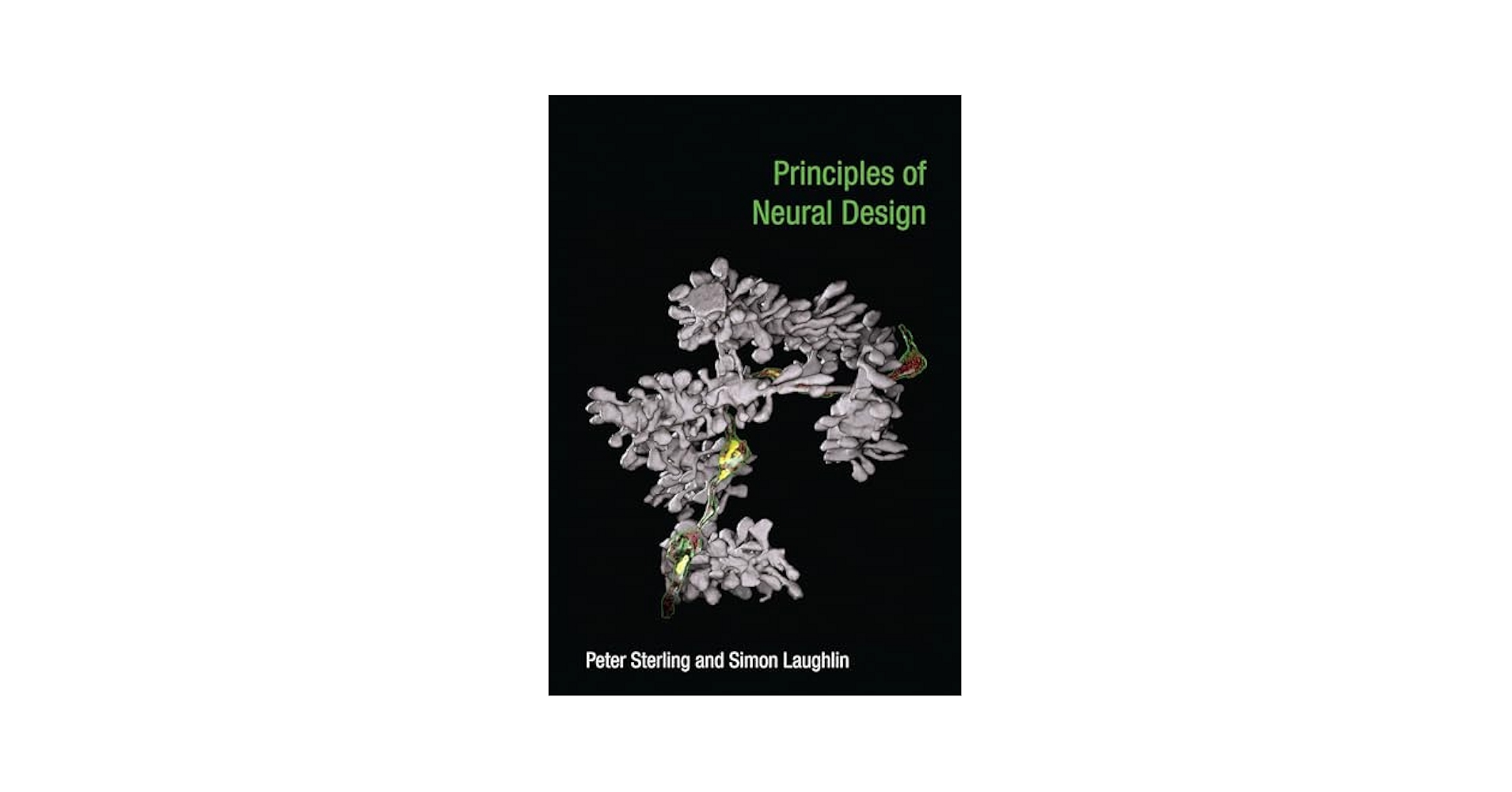 Principles of Neural Design (Mit Press): Sterling, Peter