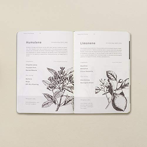 41VMYbrU4LL. SL500  - Goldleaf Cooking Journal: A Cannabis Culinary Companion, Empty Marijuana Recipe Notebook, Cooking with Cannabis Accessory, Templated Recipe Pages and Infographics, A5 Size