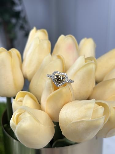 Le Vian 3/4 or 1 1/2 Carat Chocolate Diamond Heart Engagement Ring for Women I 14k White Gold Promise Ring for Her (Brown/H-I, SI2-SI3, cttw) Clear Diamond Accents Wedding Anniversary Band Size 6 to 84