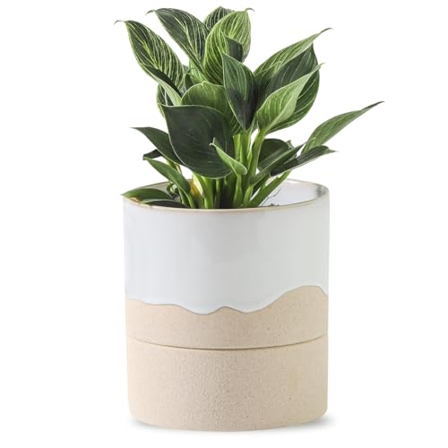 Nihow Self Watering Plant Pot: 4.5 Inch Ceramic Planter with Drainage Hole & Water Storage Plus for Indoor & Outdoor Plants - Cylinder Flower Pot for Herbs/Violets - White & Nature