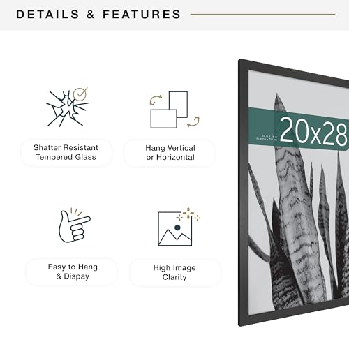 MCS Studio Gallery 20x28 Poster Frame Black Woodgrain, Vertical & Horizontal Wall Hanging Large Picture Frame for Photos, Posters & Art Prints (2-Pack)