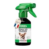 RepellShield® Répulsif Chien   Goût Amer, Non Tachant, sans Alcool   Dressage & Éducation   Protège Les Meubles, Tapis, Chaussures, Plantes, Jardin & Plus   Usage Intérieur & Extérieur, 250ml