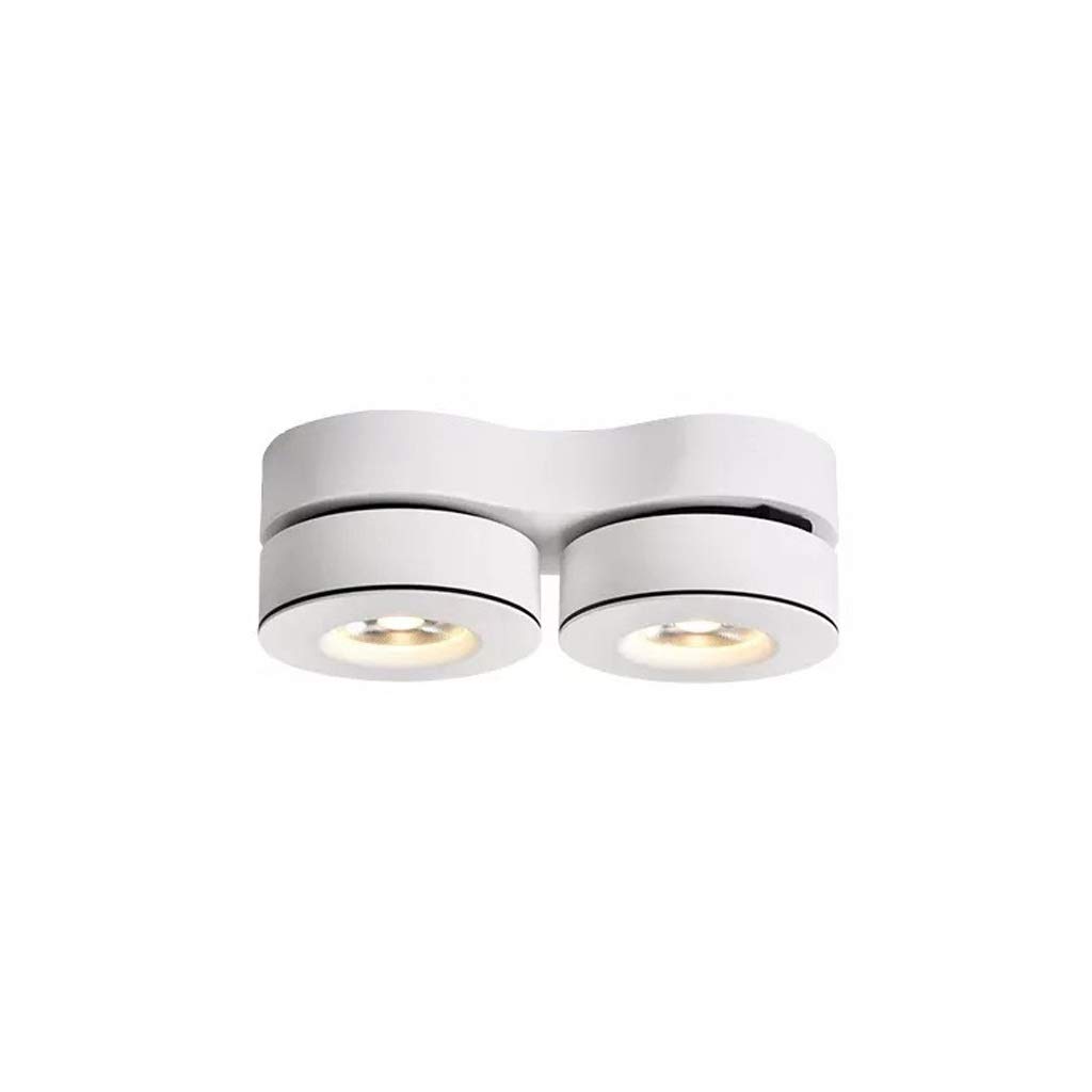 HynJGih Surface Mount Spotlight Led Ceiling Light Bean Light Bulb Light Grille Ceiling Double Head Downlight(White,12w-3000k)