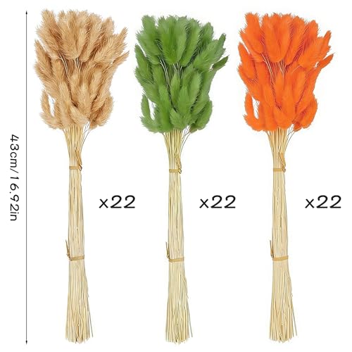 66 PCS Getrocknete Pampasgrasdekoration, Pampasgras-Bouquet, Natürlich Getrocknete Pampas, für Hochzeits Boho Tischdekoration rustikale Bauernhaus-Party Baby-Dusche(Orange und Grün Trikolore)
