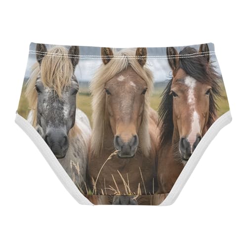 Cotton Toddler Girls Underwear Horses Grassland Cute Girl Panties Cute Fancy Briefs Girls Undies 2t2