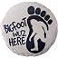 Big Foot Stepping Stone
