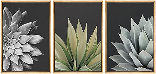 SIGNWIN Framed Canvas Print Wall Art Trio of Echevaria Succulents