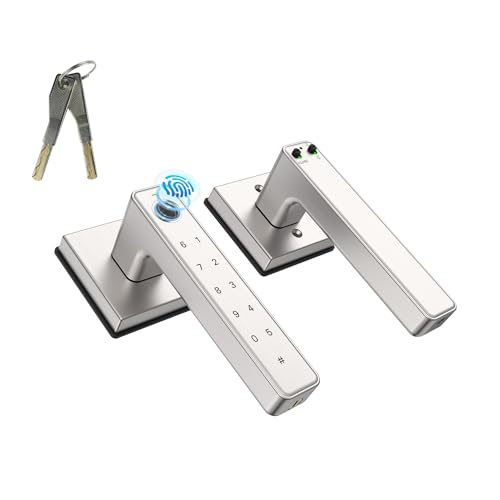 Serratura per porta con impronte digitali, serrature biometriche con maniglia e chiave meccanica*2, ingresso senza chiavi con touch digitale per casa, camera da letto, hotel, ufficio, argento
