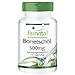 Produktbild Fairvital | BorretschÖl Kapseln 500mg - 120 LiCaps® - HOCHDOSIERT - kaltgepresst - reich an Gamma-Linolensäure (Omega-6) - VEGAN