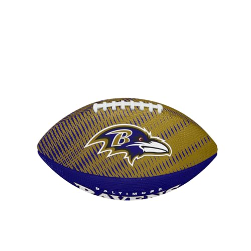 Image of WILSON Unisex NFL Team Tailgate Footballs