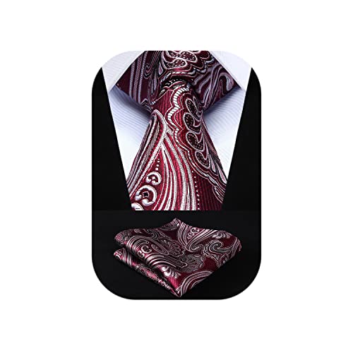 Image of HISDERN Ties for Men Paisley Tie and Pocket Square Woven Classic Floral Mens Ties Handkerchief Set Wedding Party Necktie