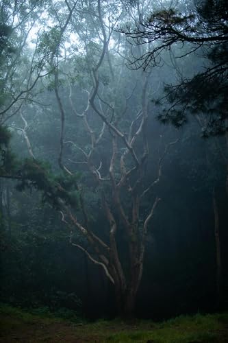 More Philip with Strange Familiars