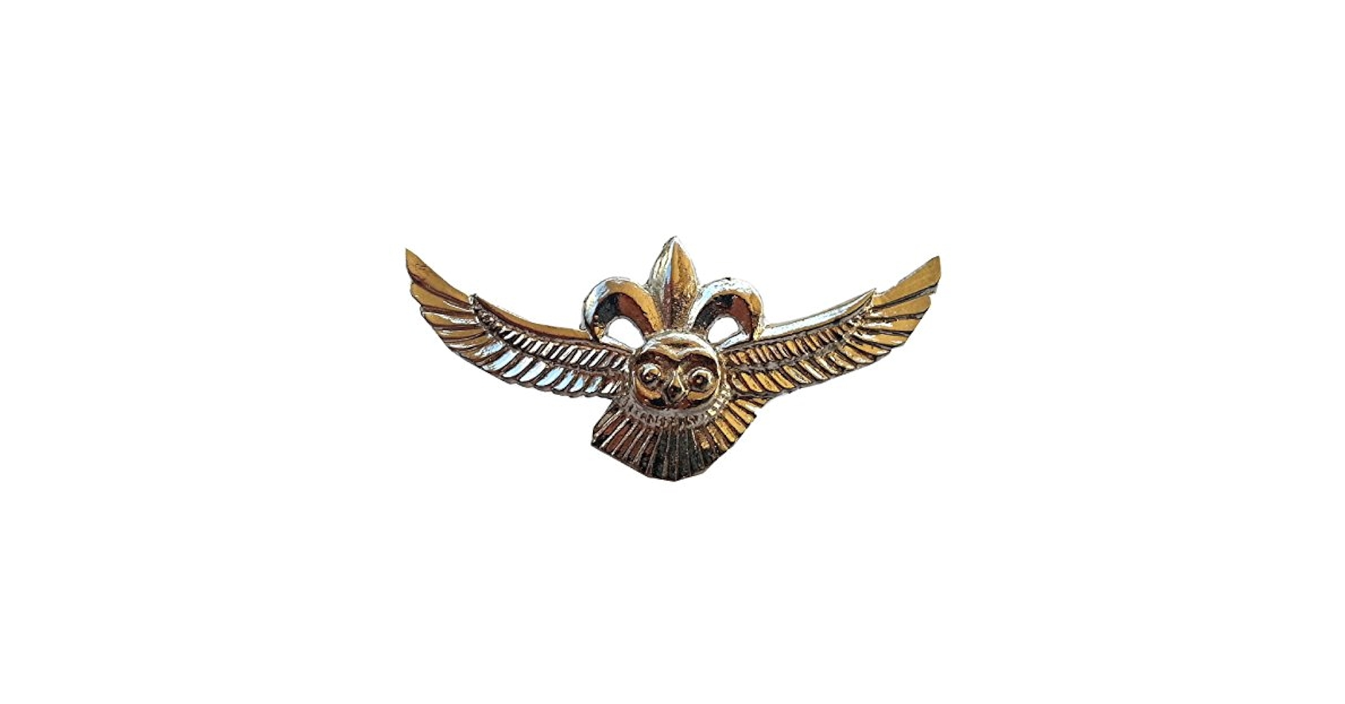 IDF イスラエル空軍　バージ ピン Badge Pin B Amazon.com: Israel army IDF NACHSHON COMPANY unit badge